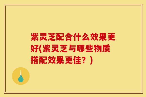 紫灵芝配合什么效果更好(紫灵芝与哪些物质搭配效果更佳?)-第1张图片-灵芝之家 紫灵芝配合什么效果更好(紫灵芝与哪些物质搭配效果更佳?)-第1张图片-灵芝之家