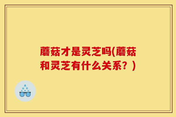 蘑菇才是灵芝吗(蘑菇和灵芝有什么关系?)-第1张图片-灵芝之家 蘑菇才是灵芝吗(蘑菇和灵芝有什么关系?)-第1张图片-灵芝之家