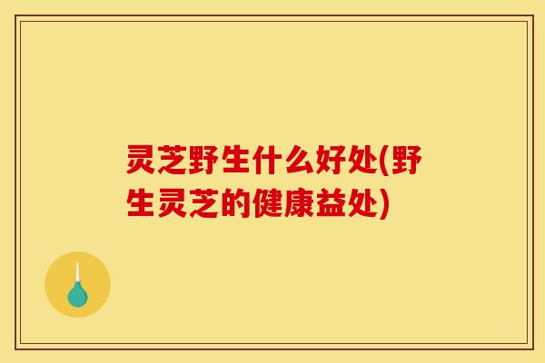 灵芝野生什么好处(野生灵芝的健康益处)-第1张图片-灵芝之家 灵芝野生什么好处(野生灵芝的健康益处)-第1张图片-灵芝之家