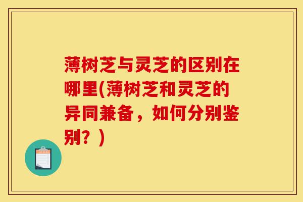 薄树芝与灵芝的区别在哪里(薄树芝和灵芝的异同兼备，如何分别鉴别？)-第1张图片-灵芝之家