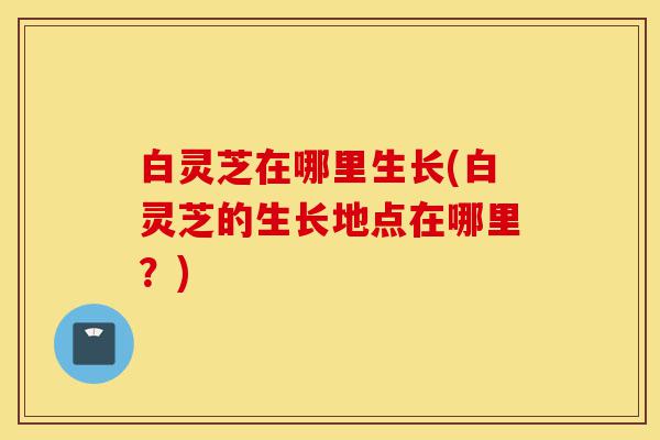 白灵芝在哪里生长(白灵芝的生长地点在哪里?)-第1张图片-灵芝之家 白灵芝在哪里生长(白灵芝的生长地点在哪里?)-第1张图片-灵芝之家