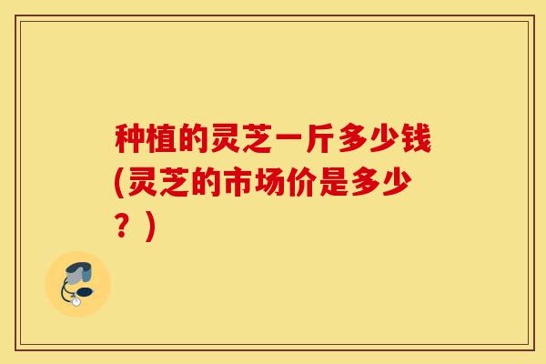 种植的灵芝一斤多少钱(灵芝的市场价是多少？)-第1张图片-灵芝之家