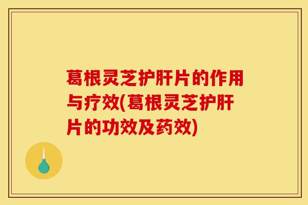 葛根灵芝护肝片的作用与疗效(葛根灵芝护肝片的功效及药效)-第1张图片-灵芝之家