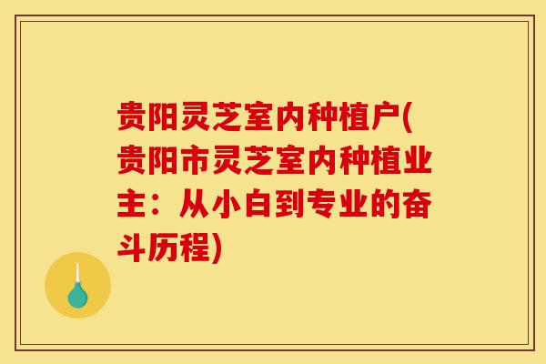 贵阳灵芝室内种植户(贵阳市灵芝室内种植业主:从小白到专业的奋斗历程)-第1张图片-灵芝之家 贵阳灵芝室内种植户(贵阳市灵芝室内种植业主:从小白到专业的奋斗历程)-第1张图片-灵芝之家
