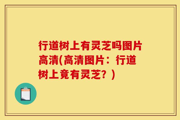 行道树上有灵芝吗图片高清(高清图片:行道树上竟有灵芝?)-第1张图片-灵芝之家 行道树上有灵芝吗图片高清(高清图片:行道树上竟有灵芝?)-第1张图片-灵芝之家