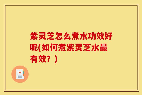 紫灵芝怎么煮水功效好呢(如何煮紫灵芝水最有效？)-第1张图片-灵芝之家