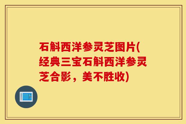 石斛西洋参灵芝图片(经典三宝石斛西洋参灵芝合影,美不胜收)-第1张图片-灵芝之家 石斛西洋参灵芝图片(经典三宝石斛西洋参灵芝合影,美不胜收)-第1张图片-灵芝之家