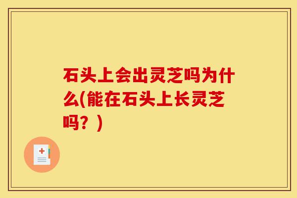 石头上会出灵芝吗为什么(能在石头上长灵芝吗?)-第1张图片-灵芝之家 石头上会出灵芝吗为什么(能在石头上长灵芝吗?)-第1张图片-灵芝之家