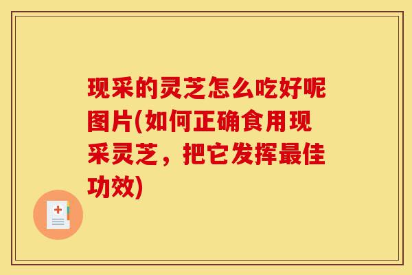 现采的灵芝怎么吃好呢图片(如何正确食用现采灵芝,把它发挥最佳功效)-第1张图片-灵芝之家 现采的灵芝怎么吃好呢图片(如何正确食用现采灵芝,把它发挥最佳功效)-第1张图片-灵芝之家