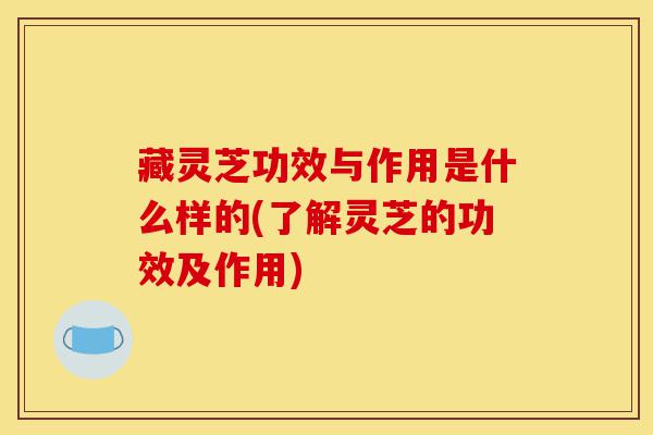 藏灵芝功效与作用是什么样的(了解灵芝的功效及作用)-第1张图片-灵芝之家 藏灵芝功效与作用是什么样的(了解灵芝的功效及作用)-第1张图片-灵芝之家