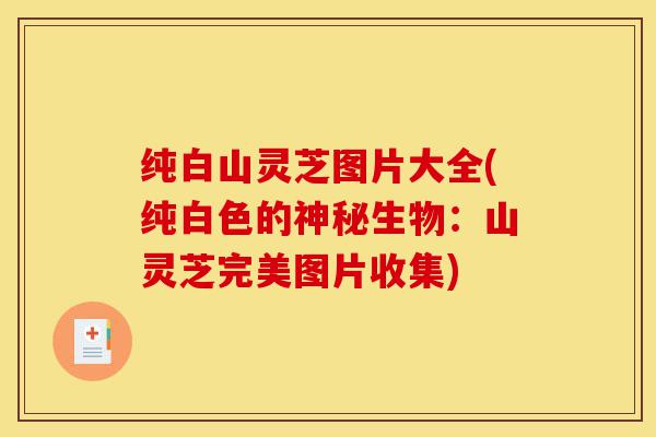 纯白山灵芝图片大全(纯白色的神秘生物:山灵芝完美图片收集)-第1张图片-灵芝之家 纯白山灵芝图片大全(纯白色的神秘生物:山灵芝完美图片收集)-第1张图片-灵芝之家