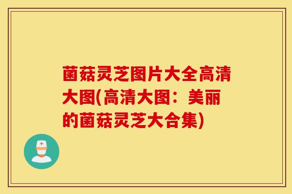 菌菇灵芝图片大全高清大图(高清大图:美丽的菌菇灵芝大合集)-第1张图片-灵芝之家 菌菇灵芝图片大全高清大图(高清大图:美丽的菌菇灵芝大合集)-第1张图片-灵芝之家