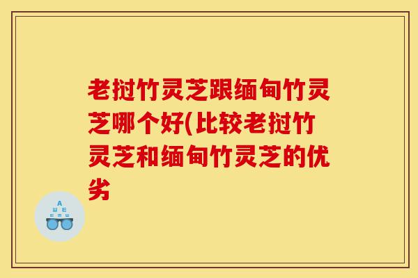 老挝竹灵芝跟缅甸竹灵芝哪个好(比较老挝竹灵芝和缅甸竹灵芝的优劣-第1张图片-灵芝之家