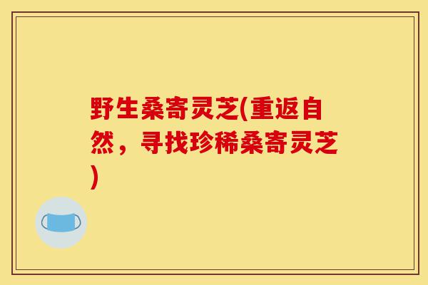 野生桑寄灵芝(重返自然，寻找珍稀桑寄灵芝)-第1张图片-灵芝之家
