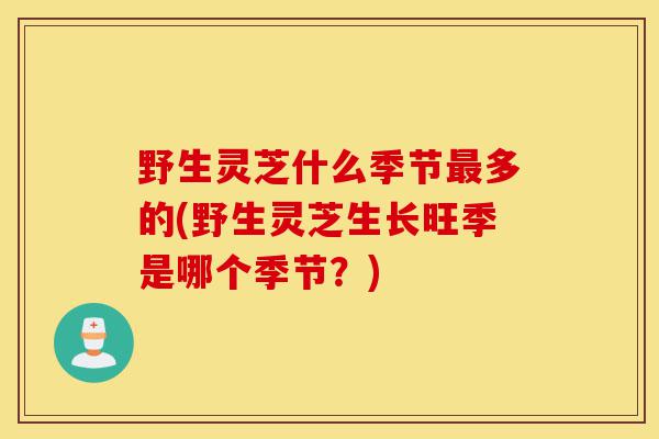 野生灵芝什么季节最多的(野生灵芝生长旺季是哪个季节?)-第1张图片-灵芝之家 野生灵芝什么季节最多的(野生灵芝生长旺季是哪个季节?)-第1张图片-灵芝之家