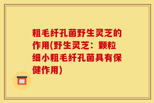 粗毛纤孔菌野生灵芝的作用(野生灵芝:颗粒细小粗毛纤孔菌具有保健作用)-第1张图片-灵芝之家 粗毛纤孔菌野生灵芝的作用(野生灵芝:颗粒细小粗毛纤孔菌具有保健作用)-第1张图片-灵芝之家