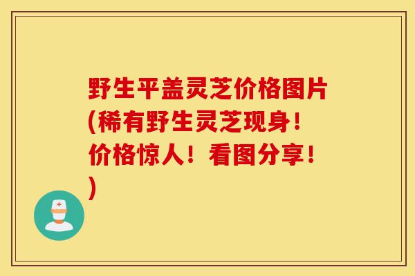 野生平盖灵芝价格图片(稀有野生灵芝现身!价格惊人!看图分享!)-第1张图片-灵芝之家 野生平盖灵芝价格图片(稀有野生灵芝现身!价格惊人!看图分享!)-第1张图片-灵芝之家