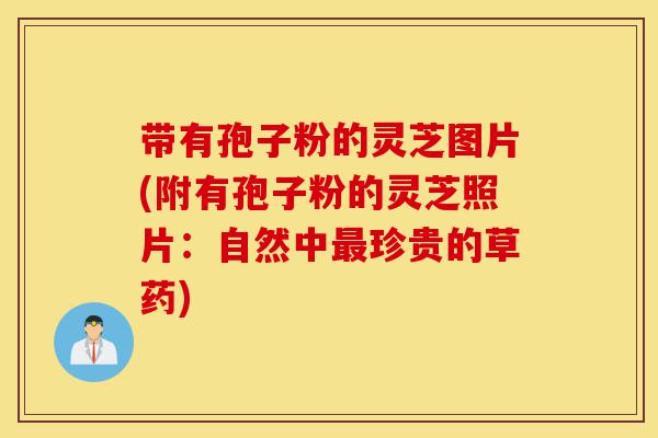 带有孢子粉的灵芝图片(附有孢子粉的灵芝照片:自然中最珍贵的草药)-第1张图片-灵芝之家 带有孢子粉的灵芝图片(附有孢子粉的灵芝照片:自然中最珍贵的草药)-第1张图片-灵芝之家