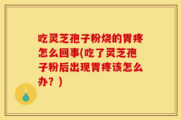 吃灵芝孢子粉烧的胃疼怎么回事(吃了灵芝孢子粉后出现胃疼该怎么办?)-第1张图片-灵芝之家 吃灵芝孢子粉烧的胃疼怎么回事(吃了灵芝孢子粉后出现胃疼该怎么办?)-第1张图片-灵芝之家