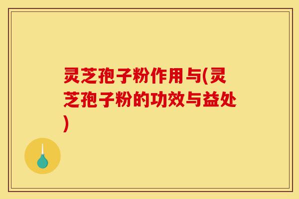 灵芝孢子粉作用与(灵芝孢子粉的功效与益处)-第1张图片-灵芝之家 灵芝孢子粉作用与(灵芝孢子粉的功效与益处)-第1张图片-灵芝之家