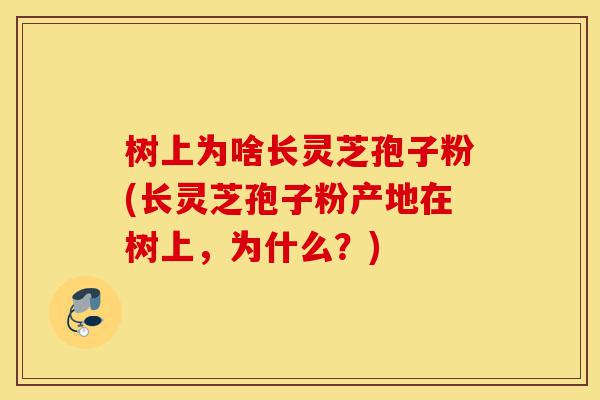 树上为啥长灵芝孢子粉(长灵芝孢子粉产地在树上,为什么?)-第1张图片-灵芝之家 树上为啥长灵芝孢子粉(长灵芝孢子粉产地在树上,为什么?)-第1张图片-灵芝之家
