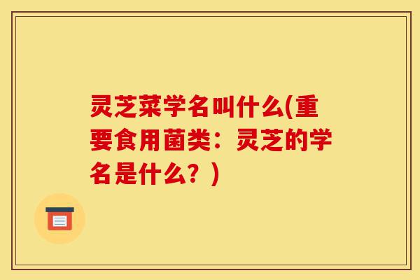 灵芝菜学名叫什么(重要食用菌类:灵芝的学名是什么?)-第1张图片-灵芝之家 灵芝菜学名叫什么(重要食用菌类:灵芝的学名是什么?)-第1张图片-灵芝之家