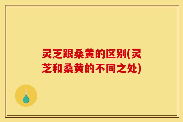 灵芝跟桑黄的区别(灵芝和桑黄的不同之处)-第1张图片-灵芝之家