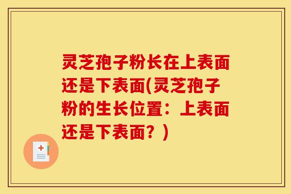 灵芝孢子粉长在上表面还是下表面(灵芝孢子粉的生长位置：上表面还是下表面？)-第1张图片-灵芝之家