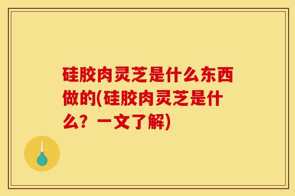 硅胶肉灵芝是什么东西做的(硅胶肉灵芝是什么？一文了解)-第1张图片-灵芝之家