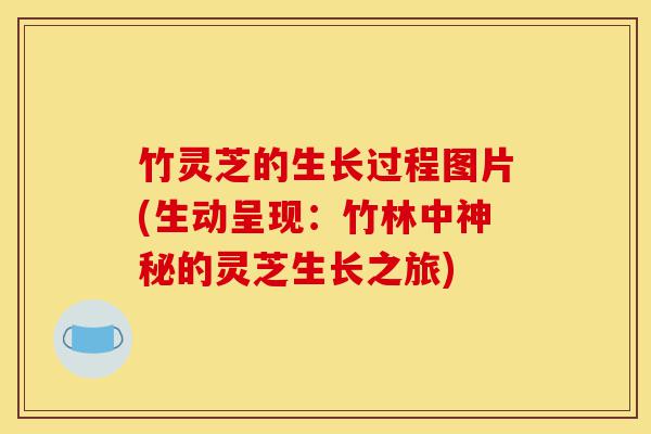 竹灵芝的生长过程图片(生动呈现：竹林中神秘的灵芝生长之旅)-第1张图片-灵芝之家