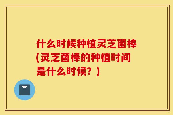 什么时候种植灵芝菌棒(灵芝菌棒的种植时间是什么时候？)-第1张图片-灵芝之家