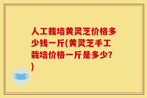 人工裁培黄灵芝价格多少钱一斤(黄灵芝手工栽培价格一斤是多少?)-第1张图片-灵芝之家 人工裁培黄灵芝价格多少钱一斤(黄灵芝手工栽培价格一斤是多少?)-第1张图片-灵芝之家