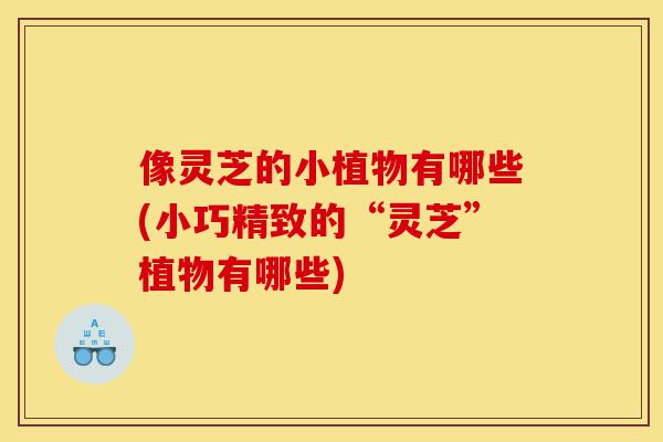 像灵芝的小植物有哪些(小巧精致的“灵芝”植物有哪些)-第1张图片-灵芝之家 像灵芝的小植物有哪些(小巧精致的“灵芝”植物有哪些)-第1张图片-灵芝之家