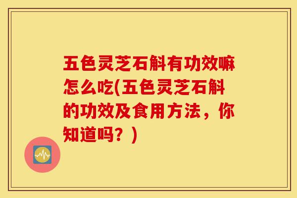 五色灵芝石斛有功效嘛怎么吃(五色灵芝石斛的功效及食用方法,你知道吗?)-第1张图片-灵芝之家 五色灵芝石斛有功效嘛怎么吃(五色灵芝石斛的功效及食用方法,你知道吗?)-第1张图片-灵芝之家