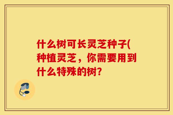 什么树可长灵芝种子(种植灵芝，你需要用到什么特殊的树？-第1张图片-灵芝之家