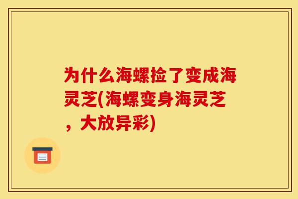 为什么海螺捡了变成海灵芝(海螺变身海灵芝，大放异彩)-第1张图片-灵芝之家