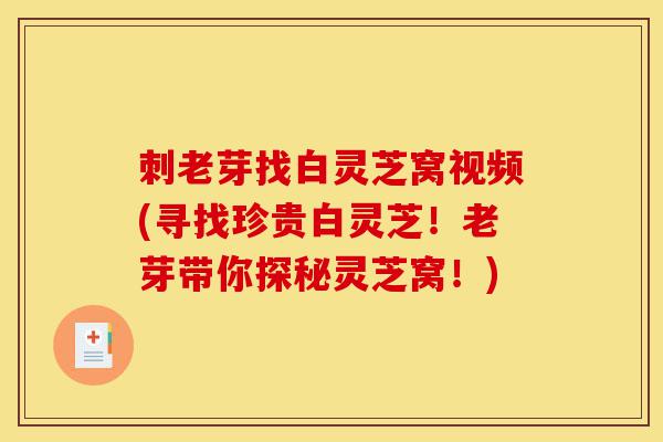 刺老芽找白灵芝窝视频(寻找珍贵白灵芝！老芽带你探秘灵芝窝！)-第1张图片-灵芝之家