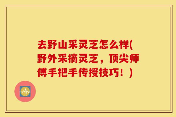 去野山采灵芝怎么样(野外采摘灵芝,顶尖师傅手把手传授技巧!)-第1张图片-灵芝之家 去野山采灵芝怎么样(野外采摘灵芝,顶尖师傅手把手传授技巧!)-第1张图片-灵芝之家