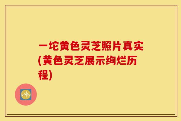 一坨黄色灵芝照片真实(黄色灵芝展示绚烂历程)-第1张图片-灵芝之家 一坨黄色灵芝照片真实(黄色灵芝展示绚烂历程)-第1张图片-灵芝之家