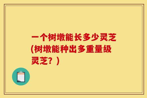 一个树墩能长多少灵芝(树墩能种出多重量级灵芝？)-第1张图片-灵芝之家