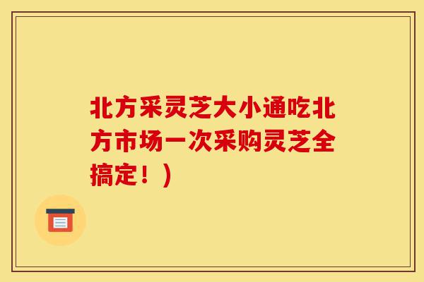 北方采灵芝大小通吃北方市场一次采购灵芝全搞定!)-第1张图片-灵芝之家 北方采灵芝大小通吃北方市场一次采购灵芝全搞定!)-第1张图片-灵芝之家