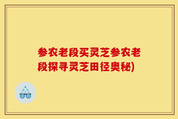 参农老段买灵芝参农老段探寻灵芝田径奥秘)-第1张图片-灵芝之家 参农老段买灵芝参农老段探寻灵芝田径奥秘)-第1张图片-灵芝之家
