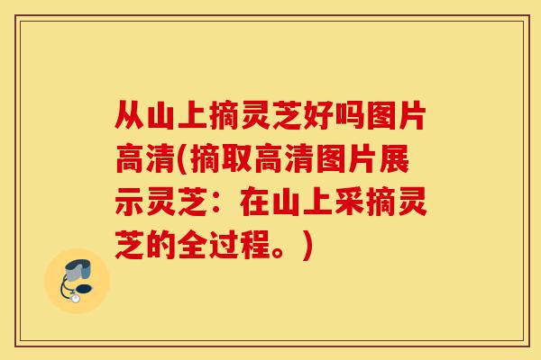 从山上摘灵芝好吗图片高清(摘取高清图片展示灵芝:在山上采摘灵芝的全过程。)-第1张图片-灵芝之家 从山上摘灵芝好吗图片高清(摘取高清图片展示灵芝:在山上采摘灵芝的全过程。)-第1张图片-灵芝之家