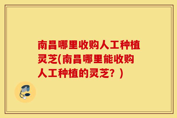 南昌哪里收购人工种植灵芝(南昌哪里能收购人工种植的灵芝?)-第1张图片-灵芝之家 南昌哪里收购人工种植灵芝(南昌哪里能收购人工种植的灵芝?)-第1张图片-灵芝之家