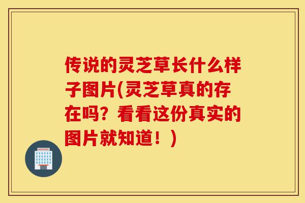 传说的灵芝草长什么样子图片(灵芝草真的存在吗？看看这份真实的图片就知道！)-第1张图片-灵芝之家