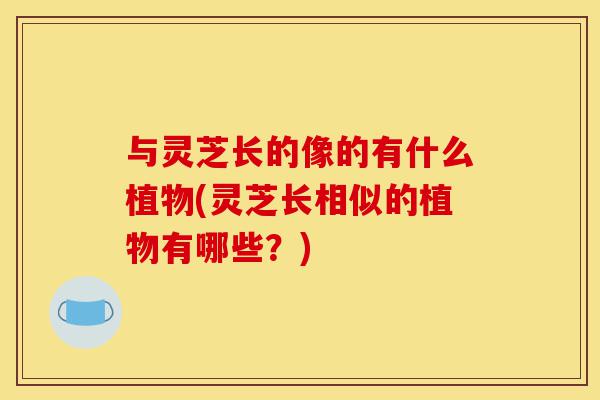与灵芝长的像的有什么植物(灵芝长相似的植物有哪些?)-第1张图片-灵芝之家 与灵芝长的像的有什么植物(灵芝长相似的植物有哪些?)-第1张图片-灵芝之家