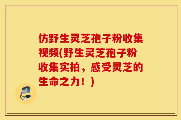 仿野生灵芝孢子粉收集视频(野生灵芝孢子粉收集实拍,感受灵芝的生命之力!)-第1张图片-灵芝之家 仿野生灵芝孢子粉收集视频(野生灵芝孢子粉收集实拍,感受灵芝的生命之力!)-第1张图片-灵芝之家