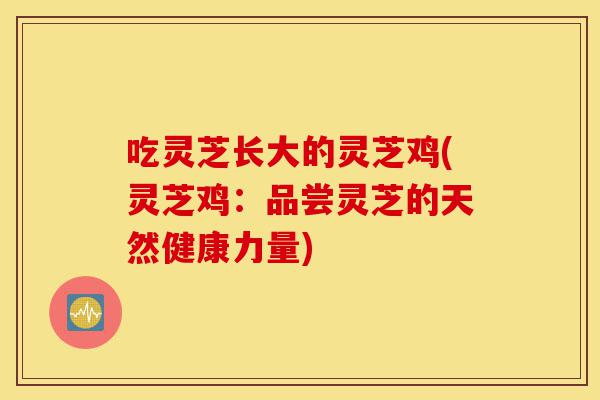 吃灵芝长大的灵芝鸡(灵芝鸡:品尝灵芝的天然健康力量)-第1张图片-灵芝之家 吃灵芝长大的灵芝鸡(灵芝鸡:品尝灵芝的天然健康力量)-第1张图片-灵芝之家