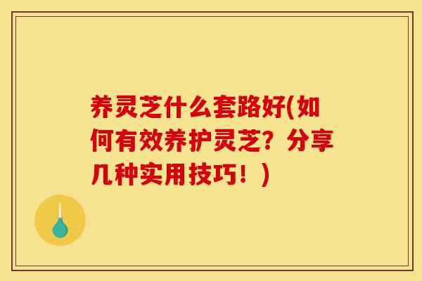 养灵芝什么套路好(如何有效养护灵芝?分享几种实用技巧!)-第1张图片-灵芝之家 养灵芝什么套路好(如何有效养护灵芝?分享几种实用技巧!)-第1张图片-灵芝之家