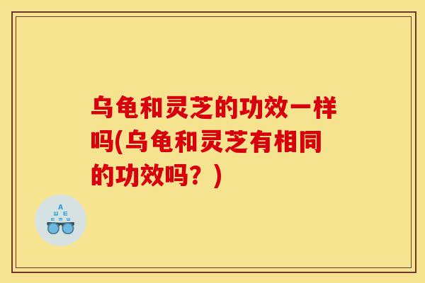 乌龟和灵芝的功效一样吗(乌龟和灵芝有相同的功效吗?)-第1张图片-灵芝之家 乌龟和灵芝的功效一样吗(乌龟和灵芝有相同的功效吗?)-第1张图片-灵芝之家